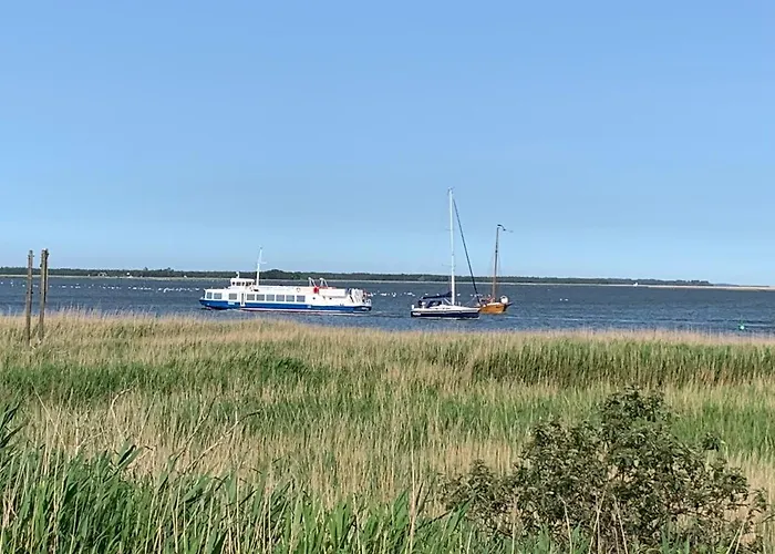 Boddenperle * Bresewitz