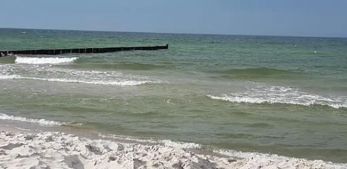 Boddenperle * Bresewitz